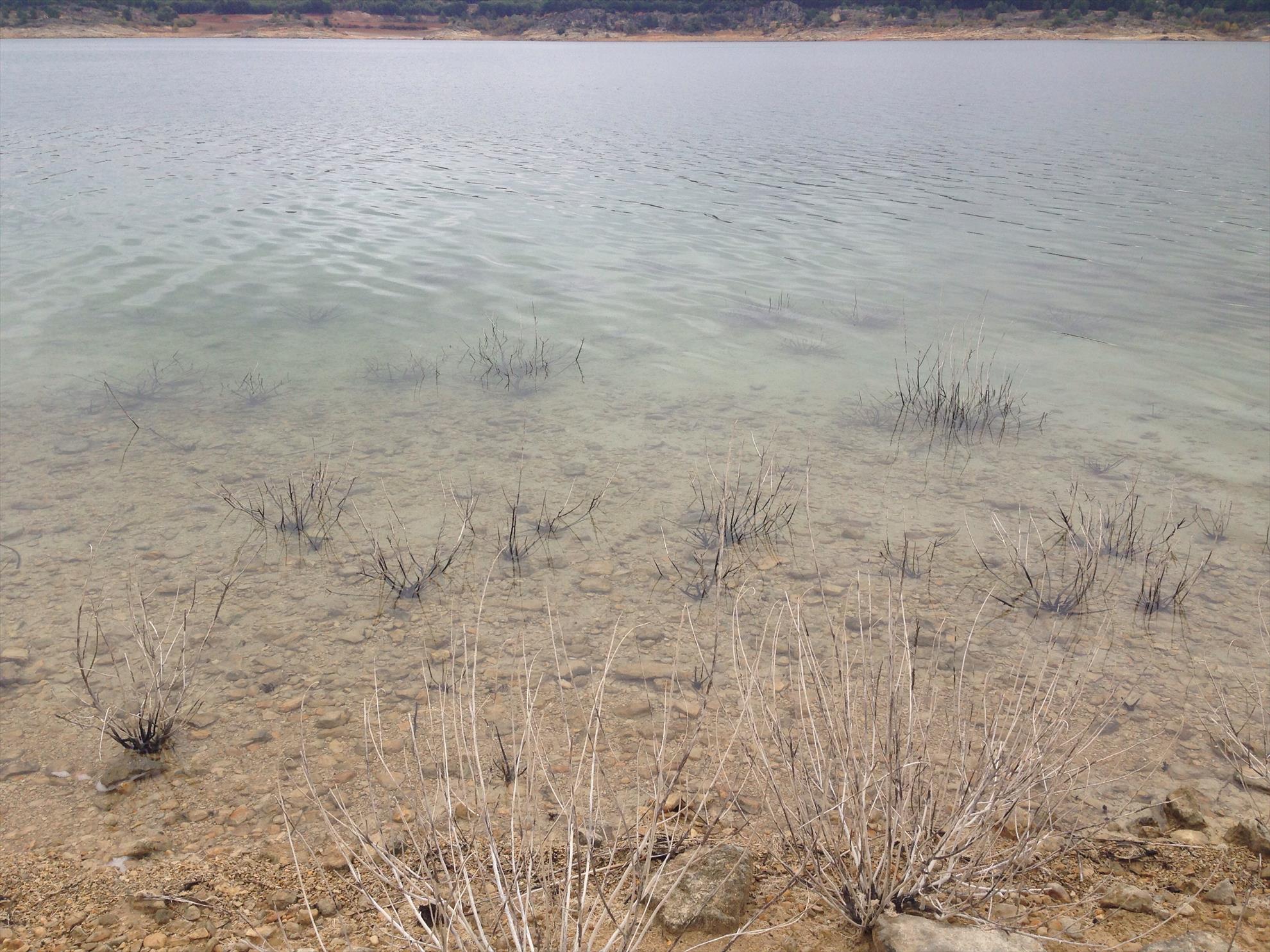 2013 - Spania  - image111111.jpg